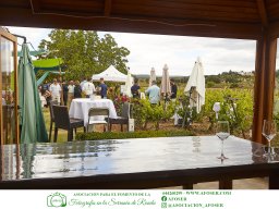 Festival Mar de Tethys 2026 - Bodega Vetas